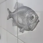 Kleine 25 *
