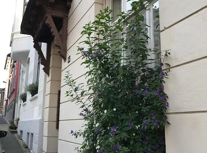 Kleine 25 Appartement